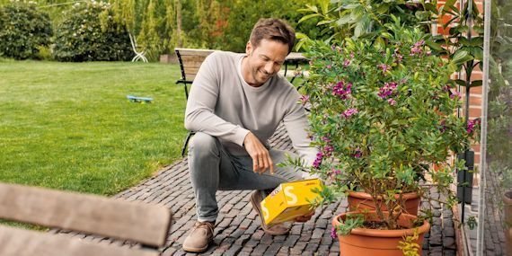 Dhl Paket Im Garten Mann mit DHL Paket im Garten | Dhl paket, Paket, Kunde