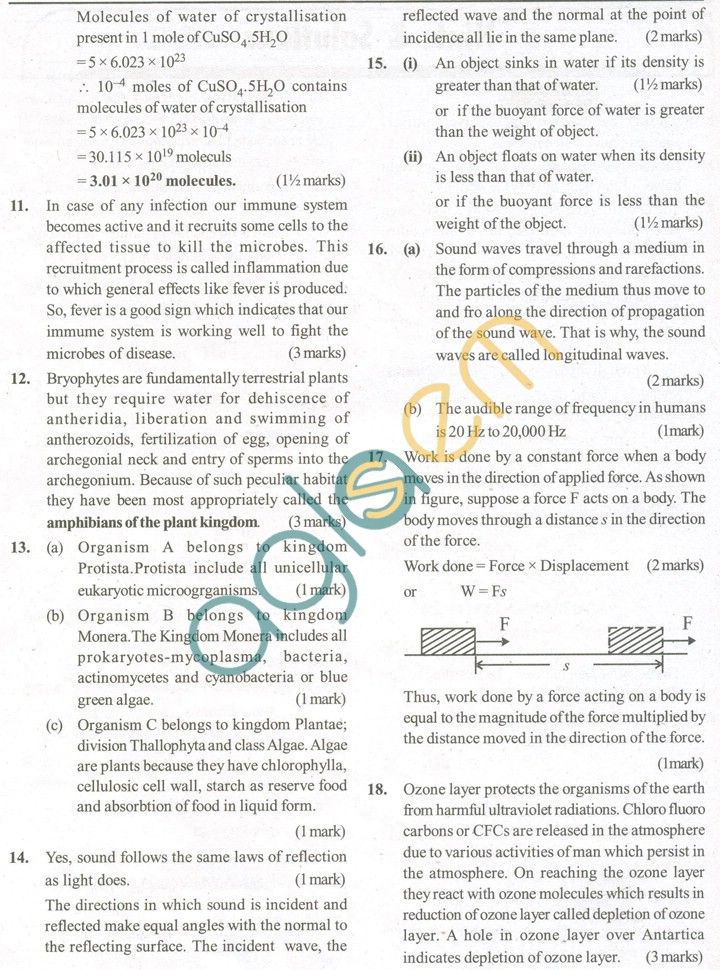 11 best science paper sample net images on Pinterest Sample - sample paper 11 best science paper sample net images on Pinterest Sample - sample paper