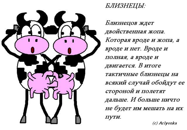 Прикольный гороскоп для близнецов в картинках, цветы сердце