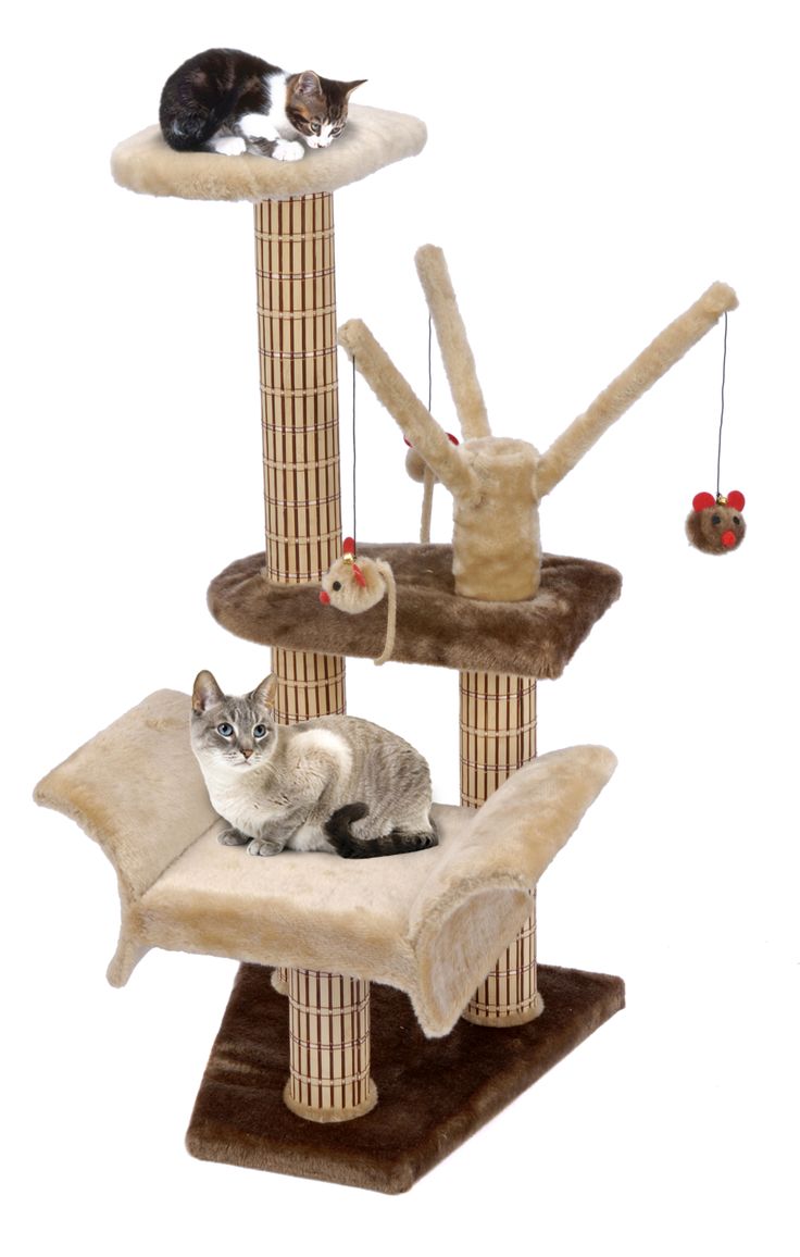 Best Large Cat Trees Images On Pinterest Cat Tree Cat - Catlife⢠Lounger With Play Tree Climbing Tower Scratching Posts Bypennplax best large cat trees images on pinterest cat tree cat - catlife⢠lounger with play tree climbing tower scratching posts bypennplax