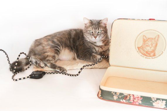 Couverture Chauffante Pour Chat Vintage Accessoires Pour Chat B C Mit Dem Katzenkopf Edition France Curiosite Original Bizarre 1960 Cat Bed Cat Accessories Cat Blanket Couverture Chauffante Pour Chat Vintage Accessoires Pour Chat B C Mit Dem Katzenkopf Edition France Curiosite Original Bizarre 1960 Cat Bed Cat Accessories Cat Blanket