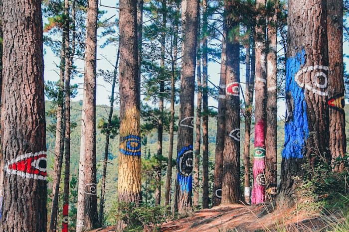 10 Lugares De Ensueño Que Ver En El País Vasco Imanes De Viaje En 2020 País Vasco Paises Vascos