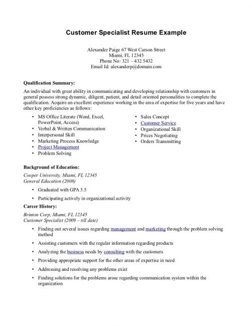 professional summary resume examples customer service create how to write a professional summary resume
