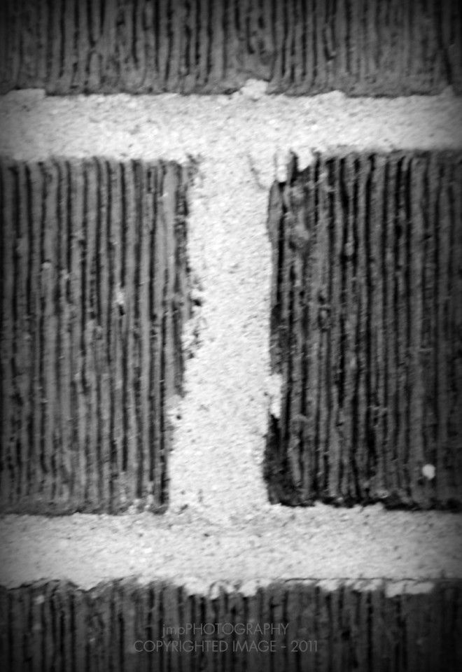 letter y photography