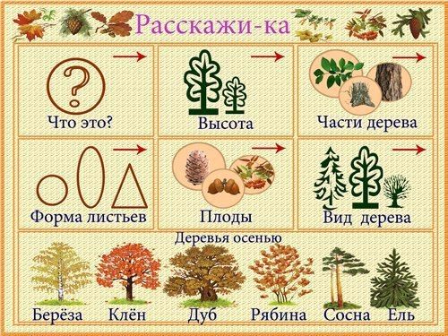 ЛОГОПЕД.РУ: "Как Топ и Тяпа варили компот". Конспект фронтального занятия по сос