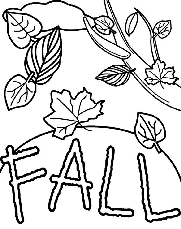 24 best coloring pages images on Pinterest Fall coloring pages - leaf template for writing 24 best coloring pages images on Pinterest Fall coloring pages - leaf template for writing