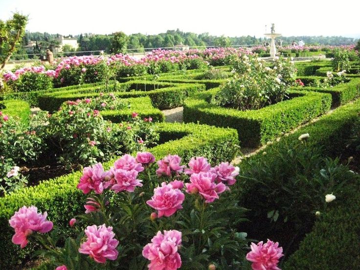 Most Beautiful Rose Gardens In The World the 25+ best most beautiful gardens ideas on pinterest | palace Most Beautiful Rose Gardens In The World the 25+ best most beautiful gardens ideas on pinterest | palace