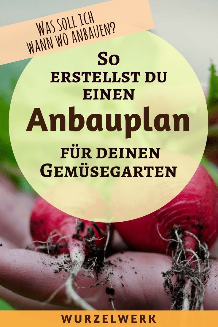 So erstellst du einen Anbauplan, mit dem du das ganze Jahr über frisches Gemüs...