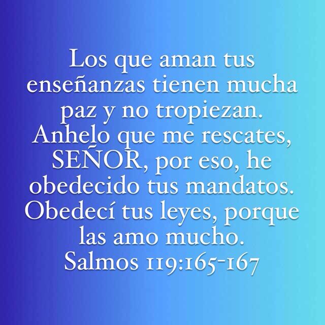 Salmos 119 165 167 NTV Salmos Salmo 119 Palabra De Dios salmos-119-165-167-ntv-salmos-salmo-119-palabra-de-dios