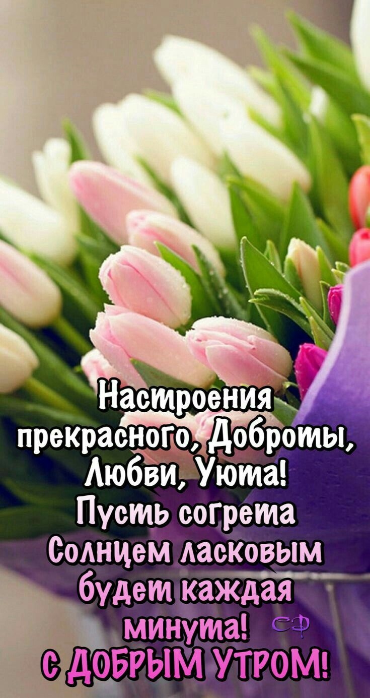 Картинки, открытка с добрым утром ольга ивановна