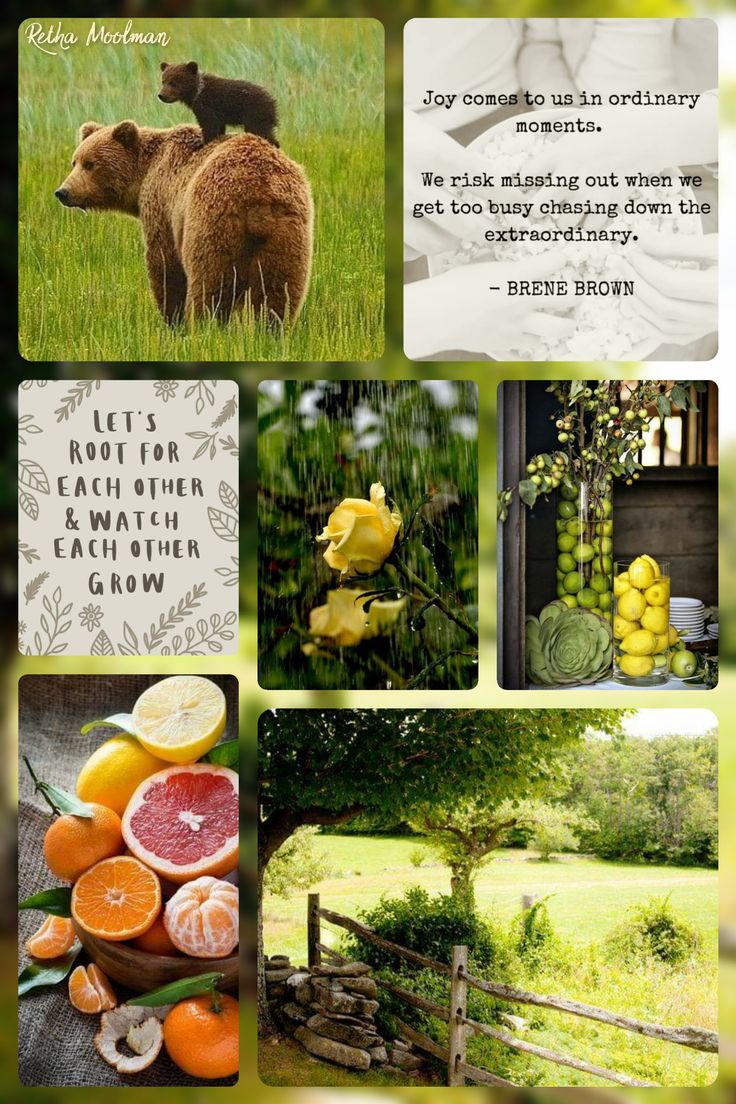 Collage Inspirtional Quotes Wallpaper Quotes Collage collage-inspirtional-quotes-wallpaper-quotes-collage