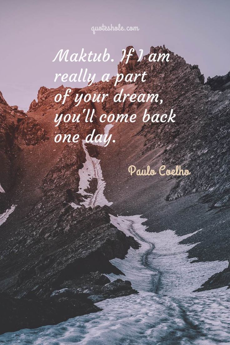 17 Best The Alchemist Quotes Of Paulo Coelho in 2020