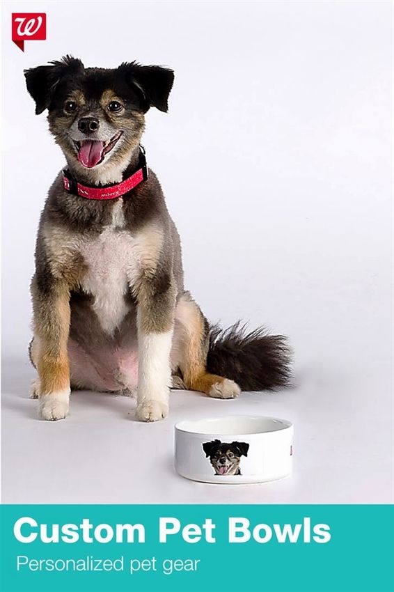 Pin On Dog Training Supplies