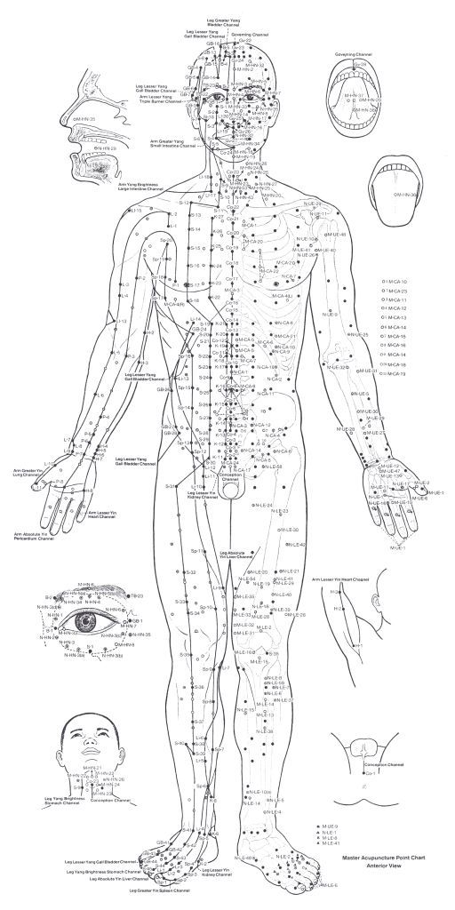 126 best meridian charts images on pinterest qigong meridians chart