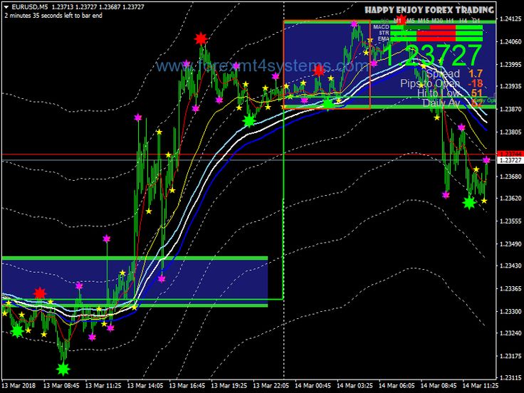 Forex nitro