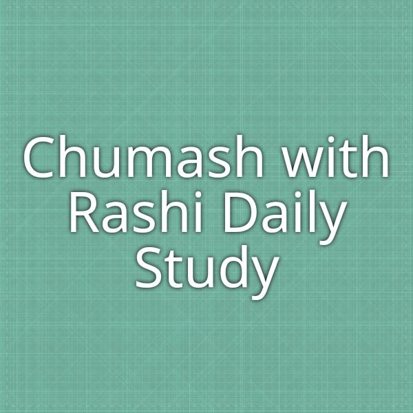 Chumash With Rashi
