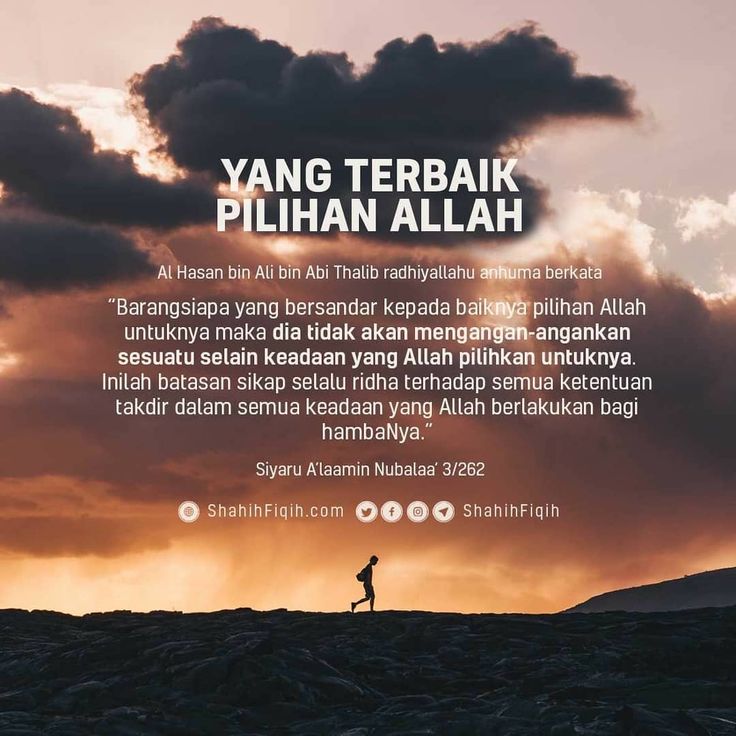 15 Ayat Tentang Jodoh Dalam Islam