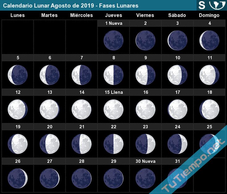 Calendario Lunar Agosto de 2019 (Hemisferio Sur) Fases