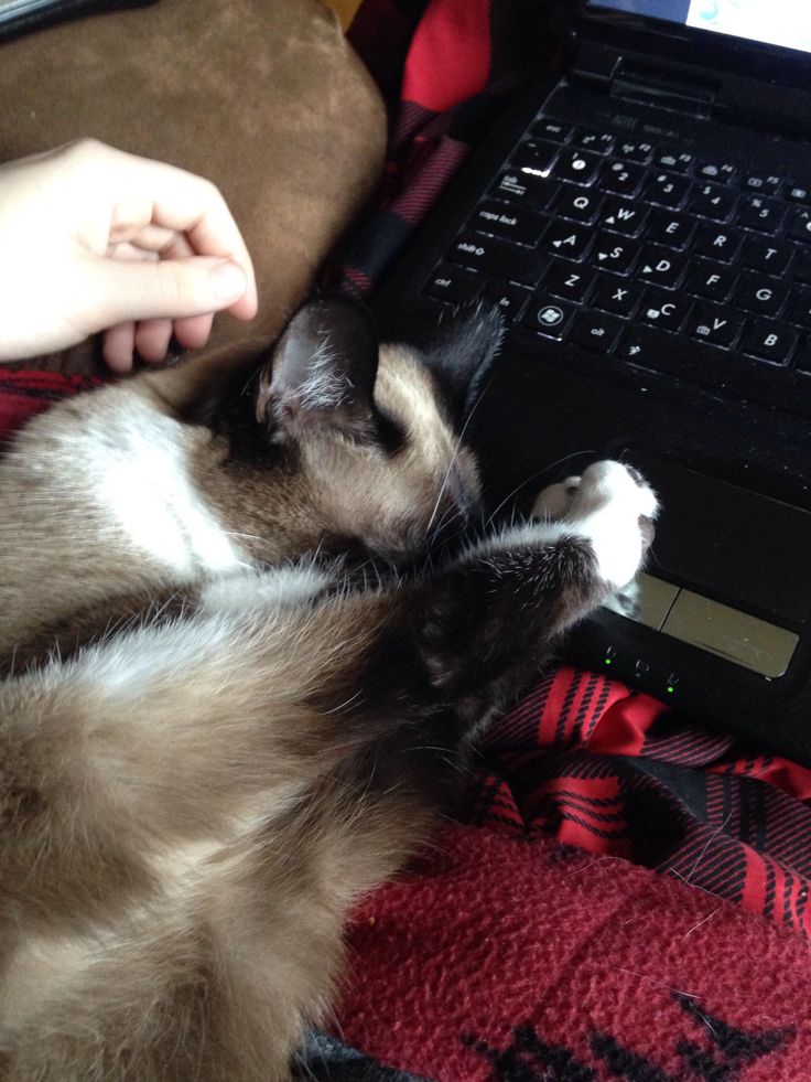 I can never do my homework