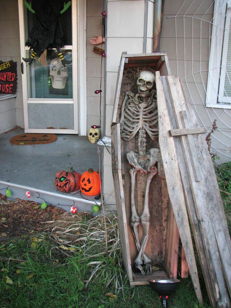 halloween is such a fun holiday i love seeing all the cool decorations people come up with whether they are jack o lanterns bats spiders ghosts