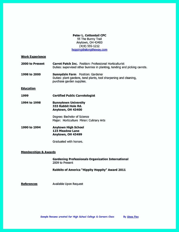 school leaver resume examples