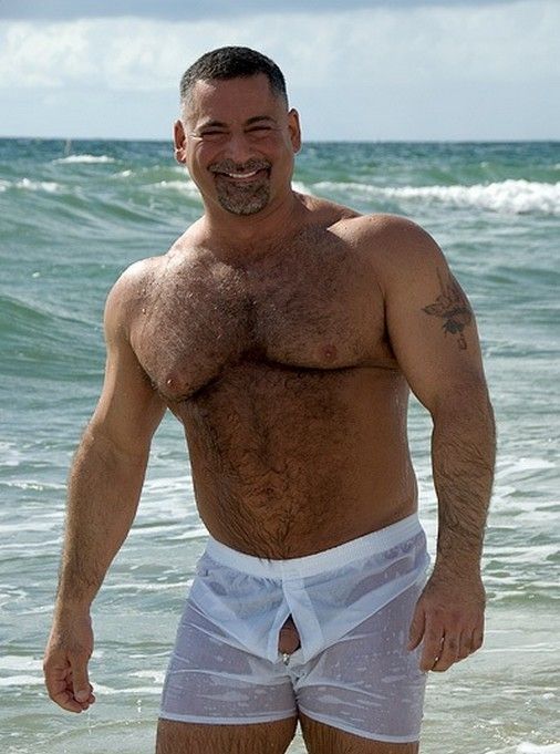 SEARCH AND BUY THIS PRODUCT Pin by Carsten Schwarz on Viecher | Pinterest | Bears