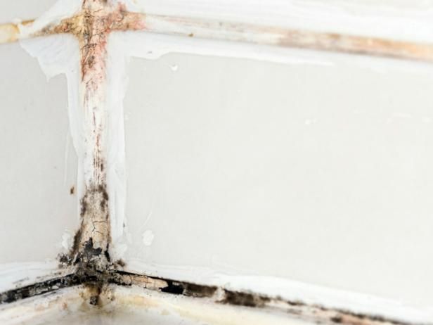 Home Remedies For Mold Removal In Bathrooms Home Remedies For Mold Removal In Bathrooms