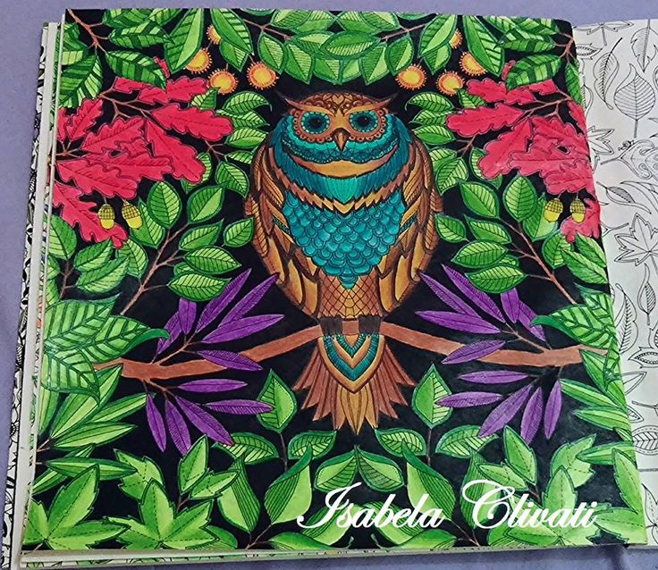 Garden Owl Garden Owl