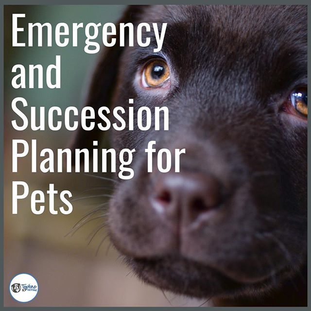 Being Prepared For An Emergency Or Worse Is Part Of Being A