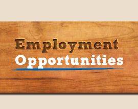 new career opportunities
