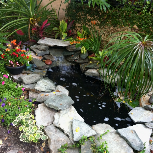 8 best Front-yard pond ideas images on Pinterest | Pond ... 8 best Front-yard pond ideas images on Pinterest | Pond ... on Front Yard Pond id=60363