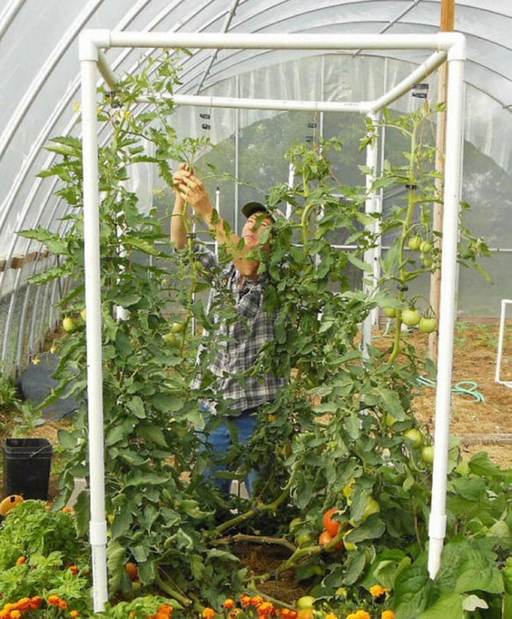 Trellis Design Ideas Trellis Design Ideas