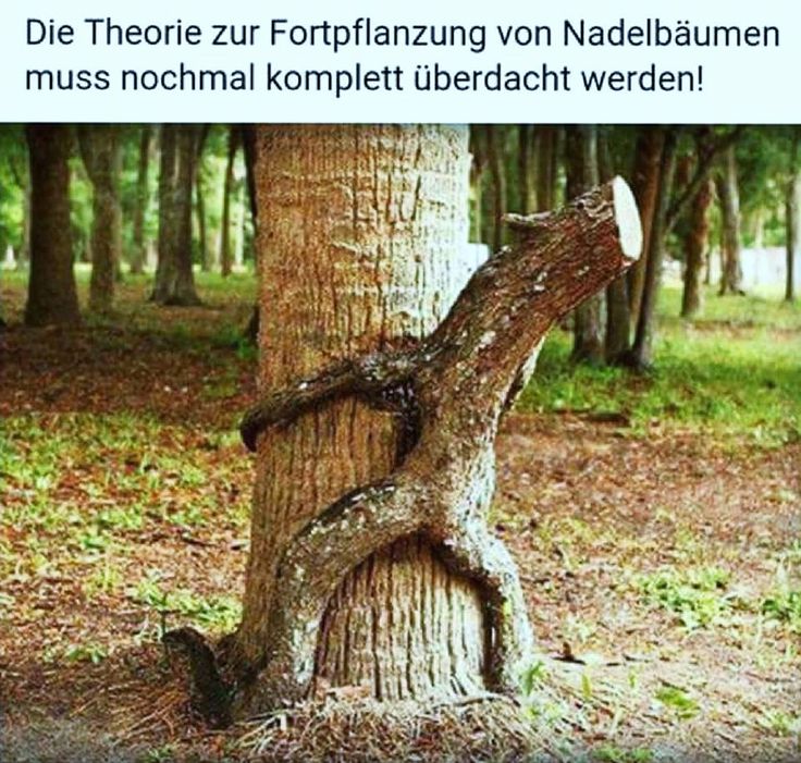 Natur partnersuche
