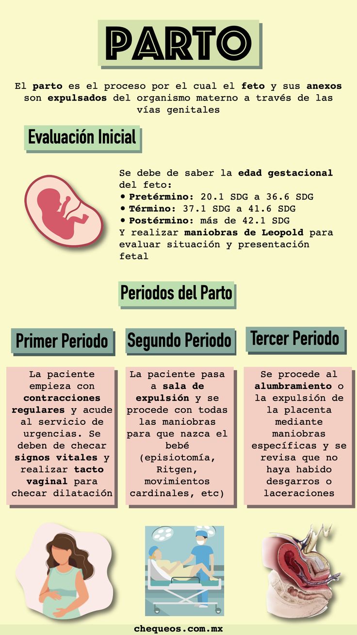 Pin En Ginecología Y Obstetricia