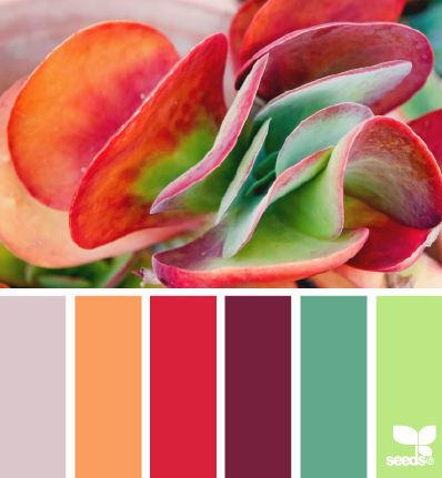 best 25+ orange color schemes ideas on pinterest | blue orange best 25+ orange color schemes ideas on pinterest | blue orange