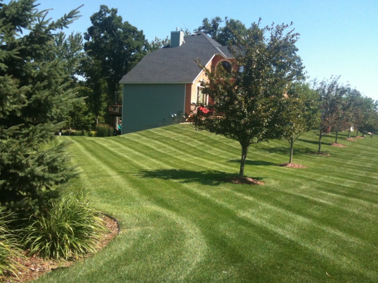 grass cutting quotes