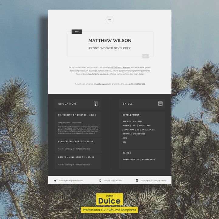 Best 25+ Web developer resume ideas on Pinterest Web development - vb programmer sample resume Best 25+ Web developer resume ideas on Pinterest Web development - vb programmer sample resume