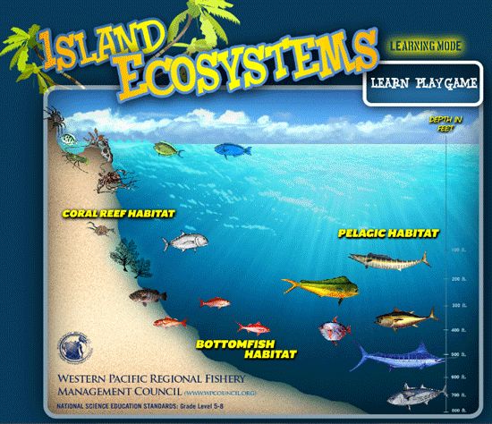 hawaiian fish names list wondering how fishing in hawaii freshwater fish chart
