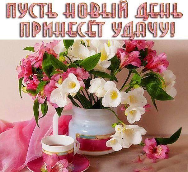 Картинки красивые на каждый день