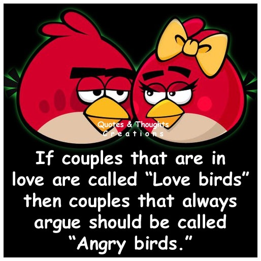 If Couples That Are In Love Areed Love Birds Then Couples That Always If Couples That Are In Love Areed Love Birds Then Couples That Always