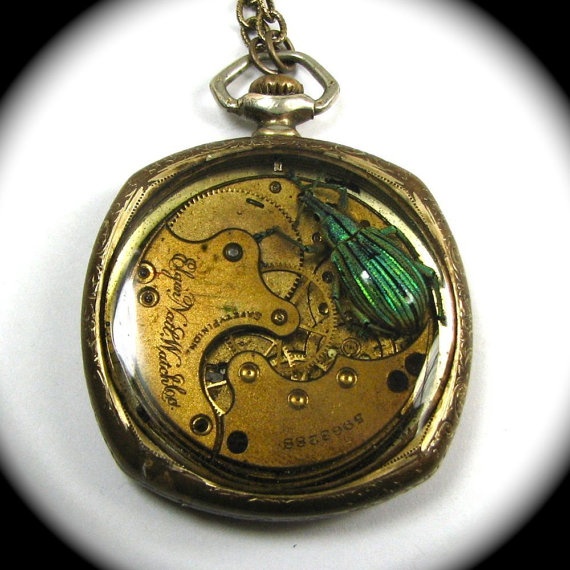 Steampunk Beetle Necklace with Genuine Weevil