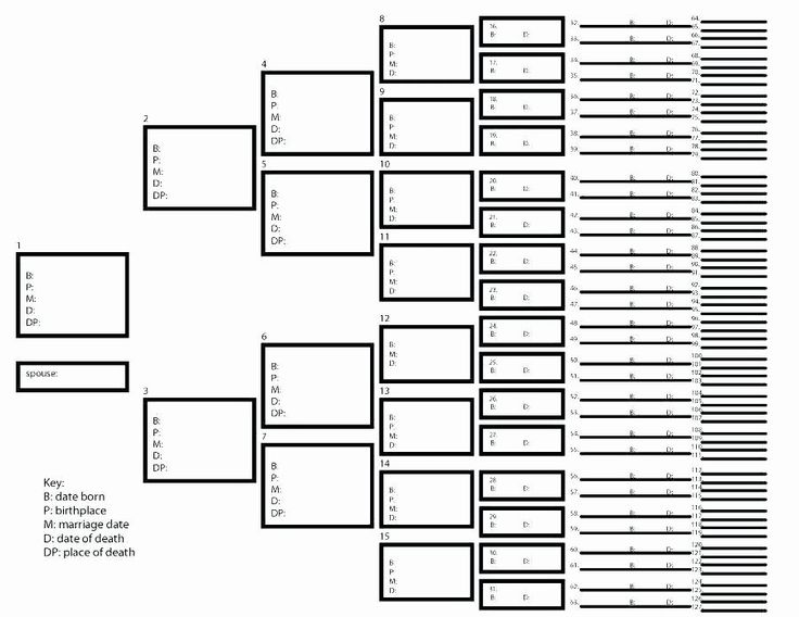 Yes No Flow Chart Template Elegant A Flow Diagram Yes No Flowchart Yes No Flow Chart Template Elegant A Flow Diagram Yes No Flowchart