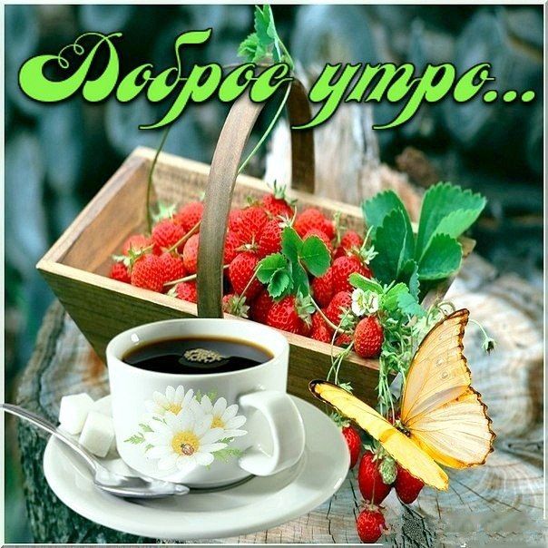 Открытка с добрым днем большая, доброе утро