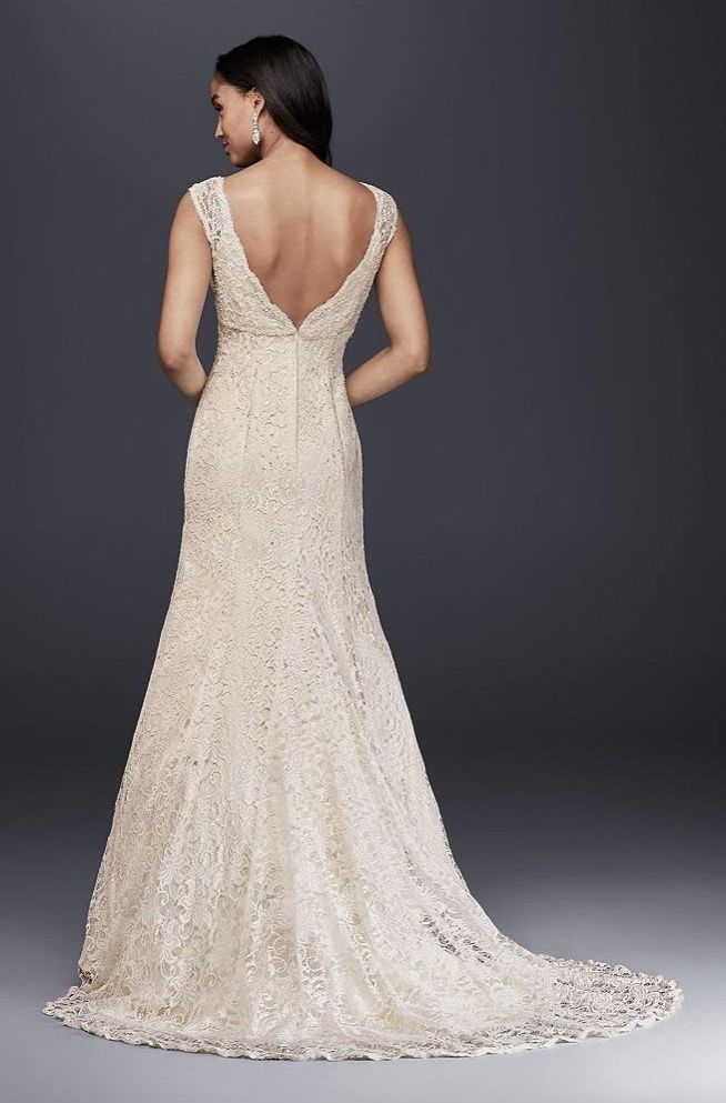 how much do wedding dress alterations cost at david's bridal Carolann