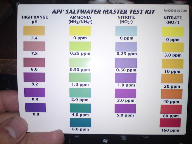 api aquarium test kit