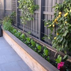 raised garden bed on a narrow side yard good use of space for shade loving - Garden Design Long Narrow Plot raised garden bed on a narrow side yard good use of space for shade loving - Garden Design Long Narrow Plot