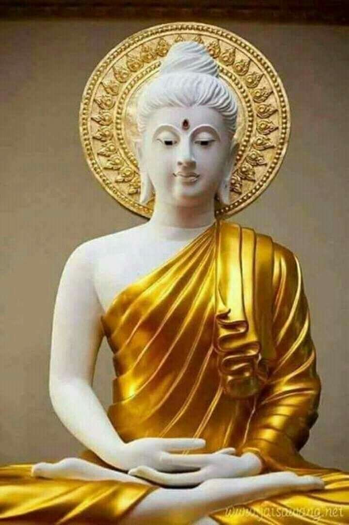 pin by vikram h