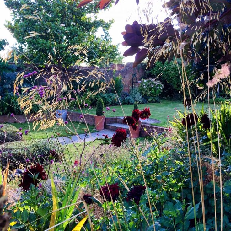 Garden Design Blog 495 best ornamental grasses / siergrassen images on pinterest Garden Design Blog 495 best ornamental grasses / siergrassen images on pinterest