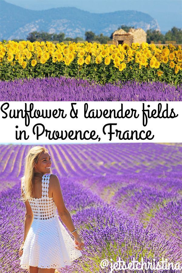 The Lavender Fields Of Provence France Jetsetchristina Lavender Fields Photography Lavender Fields France