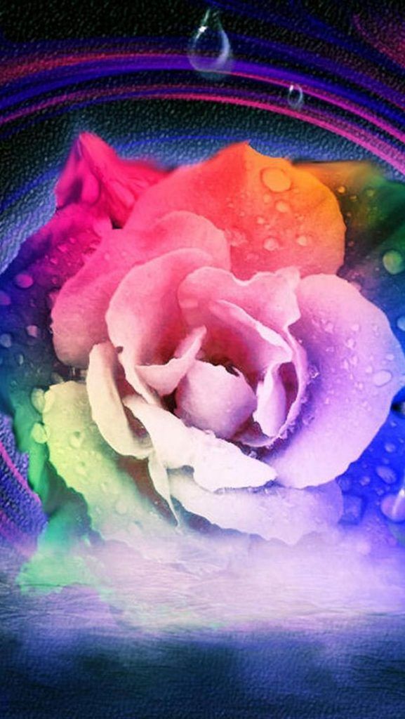 Rose Wallpaper Iphone Wallpaper Iphone Background Rose Wallpaper Iphone Wallpaper Iphone Background
